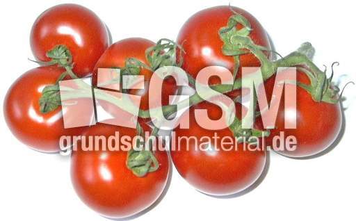 Tomaten-7B.jpg